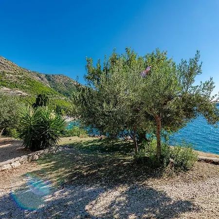 Silvio House - Shoreline Haven Holiday home *