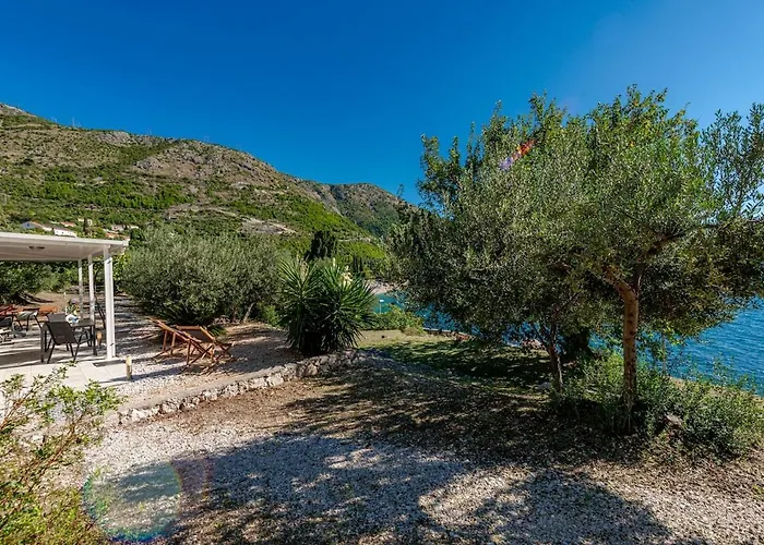 Silvio House - Shoreline Haven *