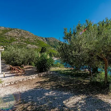 Silvio House - Shoreline Haven *